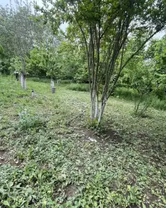 Torpaq sahəsi Satılır