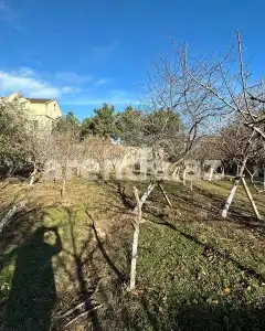 Torpaq sahəsi Satılır