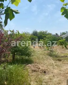 Torpaq sahəsi Satılır