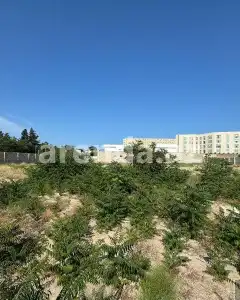 Torpaq sahəsi Satılır