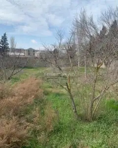 Torpaq sahəsi Satılır