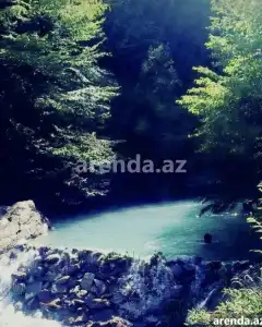 Həyət/Bağ Evi, Villa Kirayə verilir