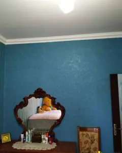 Həyət/Bağ Evi, Villa Satılır