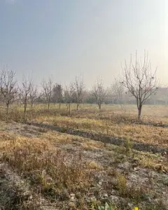 Torpaq sahəsi Satılır