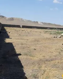 90 sot Senaye  te'yinatlí Qobuda