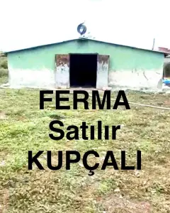 Digər Kommersiya Əmlakı Satılır