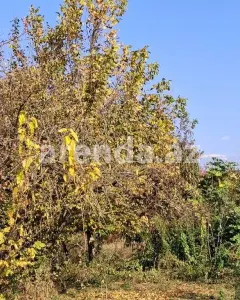 Torpaq sahəsi Satılır