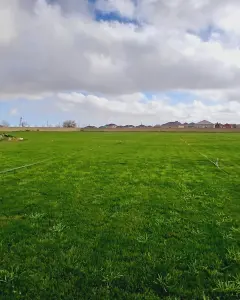 Torpaq sahəsi Satılır