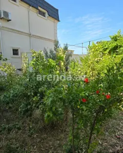 Həyət/Bağ Evi, Villa Kirayə verilir