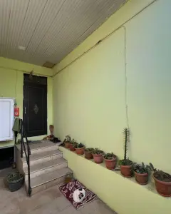 Həyət/Bağ Evi, Villa Satılır