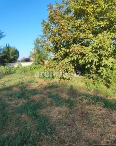 Torpaq sahəsi Satılır