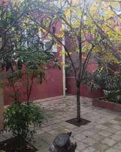 Həyət/Bağ Evi, Villa Satılır