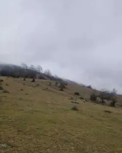 Torpaq sahəsi Satılır