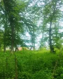 Torpaq sahəsi Satılır