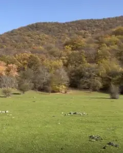 Torpaq sahəsi Satılır