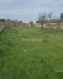Torpaq sahəsi Satılır