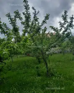 Torpaq sahəsi Satılır