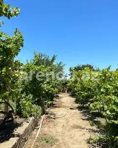 Torpaq sahəsi Satılır