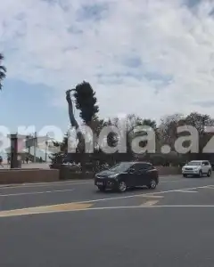 Digər Kommersiya Əmlakı Satılır