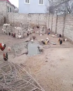 Torpaq sahəsi Satılır