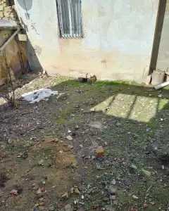 Həyət/Bağ Evi, Villa Satılır