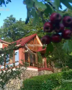 Həyət/Bağ Evi, Villa Kirayə verilir