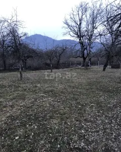 20 sot torpaq sahəsi, Qəbələ ş...